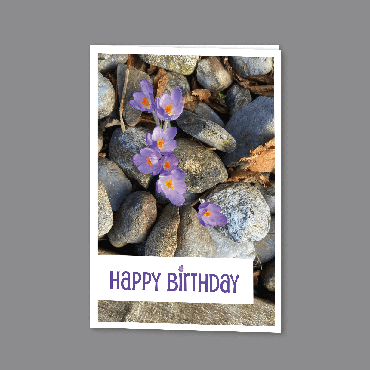 Faltkarte Happy Birthday mit Krokus