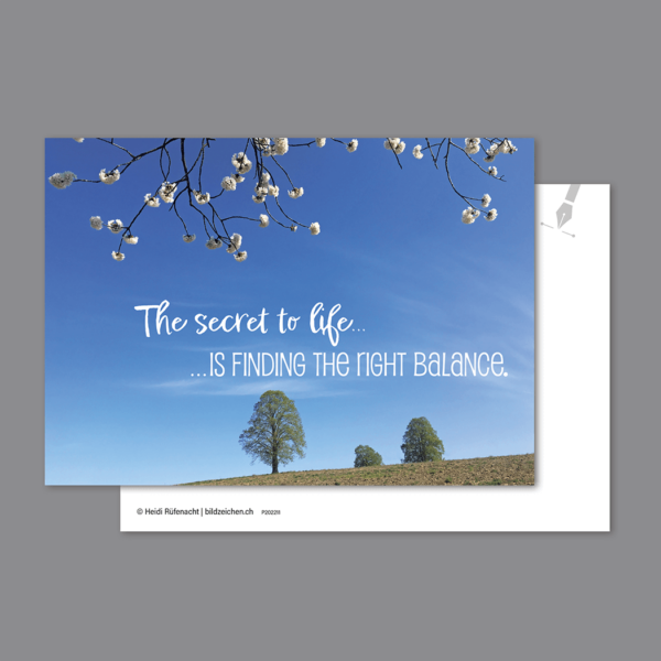 Postkarte The secret to life