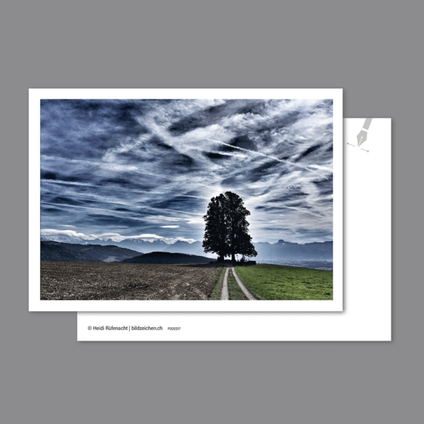 Postkarte Baum