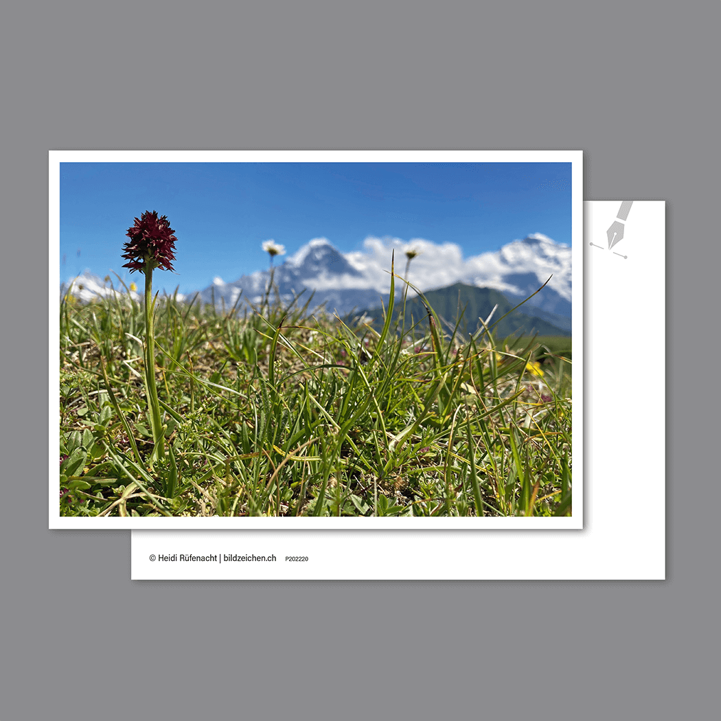 Postkarte Männertreu