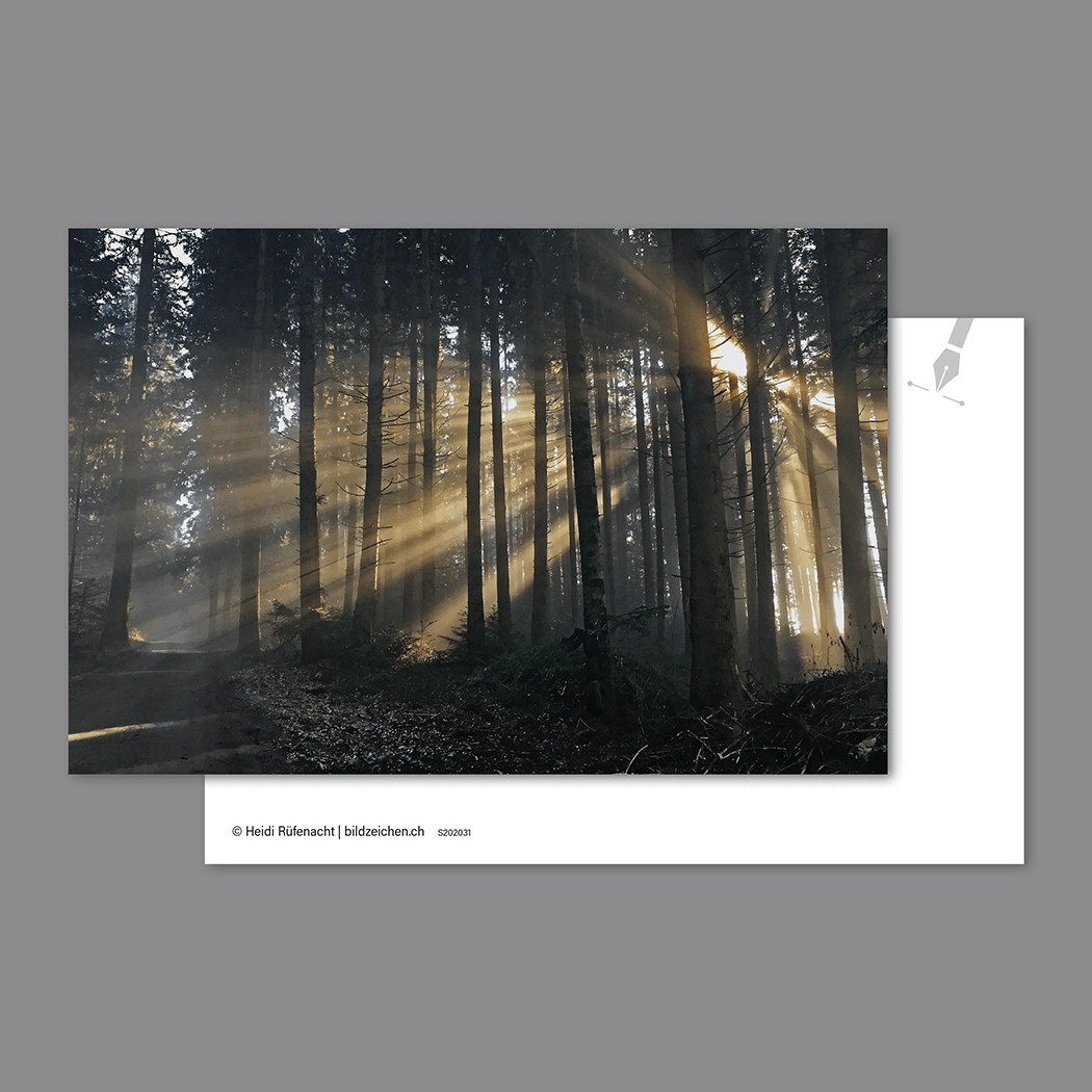 Postkarte Wald mit Sonnenstrahlen